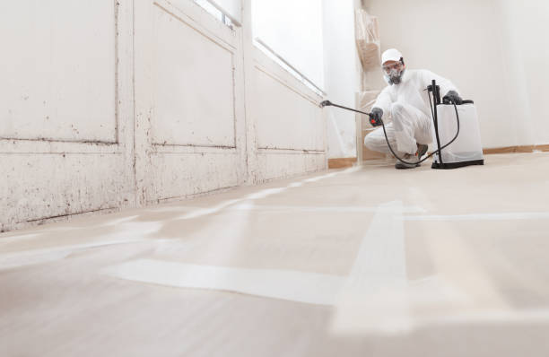 24/7 Emergency Black Mold Remediation experts in Newton, IL